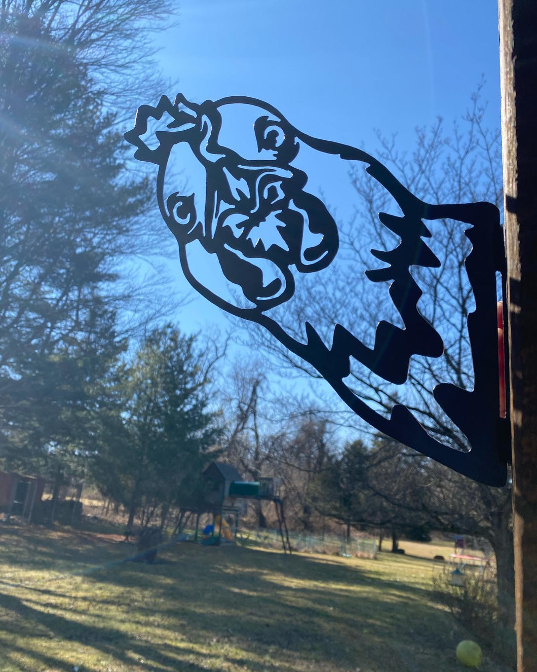 Chicken and rooster heads