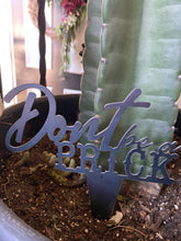 Load image into Gallery viewer, Don’t be a prick plant stake
